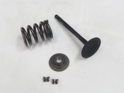 Yamaha V Star XVS 650 1998-2016 motor válvula de admisión resorte OEM 4VR-12111-01-00 Foto 1 de 4