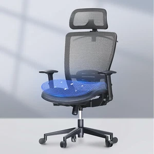 Desk Chair, FLEXISPOT Chair, Mesh Home Comfy Office High Computer Ergonomic Back - Picture 1 of 12