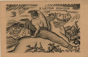 PC SOKOL MOVEMENT, SLETOM SOKOLA, Vintage Postkarte (b28194) - Bild 1 von 2