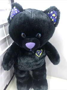 Build A Bear Herbst 2022 Halloween Believe in Meowgic Black Kitty gebraucht  - Bild 1 von 13
