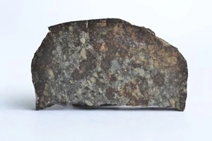 Meteorite KENDLETON - Chondrite L4 - fell 1939 in Texas USA - part slice - 7.7 g - Picture 1 of 10