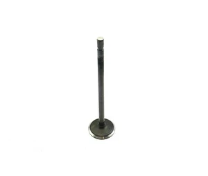 1x Original GM/Chevrolet 96463002 Inlet Valve Chevrolet Spark - Picture 1 of 6