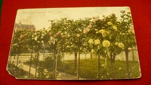 Rose Garden Oregon USA postcard 1908 cancel #2057 - Picture 1 of 2