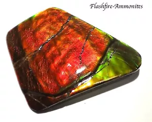 230 Carat.!! I Sammler Ammolite /Drachenschuppe Rot Grün-Golden-Orange   + VIDEO - Picture 1 of 8
