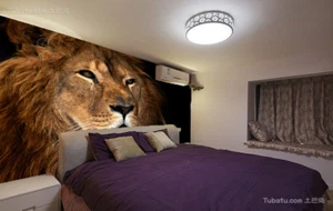 3D Yellow Lion 8226 Wallpaper Mural Paper Wall Print Wallpaper Murals UK Lemon - Picture 1 of 6
