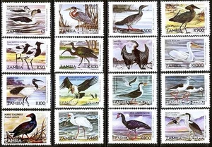 ZAMBIA 1999 water BIRDS SC#839-54 mnh postfrisch UNMOUNTED 💲FREE SHIPPING💲 - Picture 1 of 1