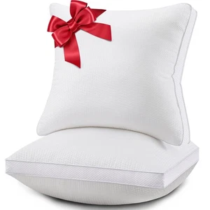 20x20 Pillows Inserts Set of 2, Throw Pillows 20 Inch Premium Down Alternativ... - Bild 1 von 8