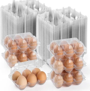 200PCS Clear Plastic Egg Cartons 6 Count,Half Dozen Cheap - Picture 1 of 7