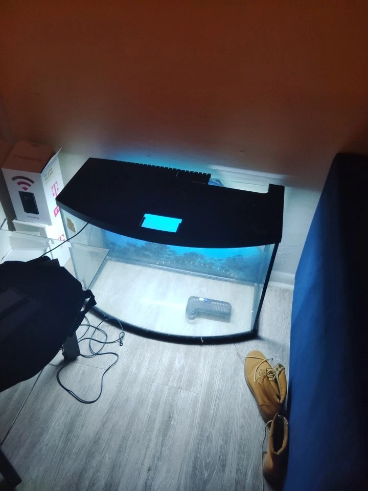  Tengo este y comida para peces y una bomba de agua quieren 250to300 para ambos  Foto 1 de 3