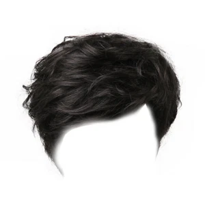 Short Hair Fluffy Human Black Toupee Pixie Cut Piece Full Wigs - Picture 1 of 7
