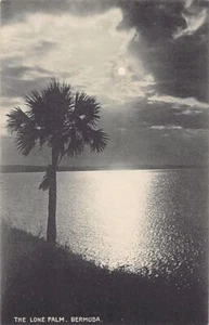Bermudas - The Lone Palm - Publ. Phoenix Drug Co. - Imagen 1 de 2