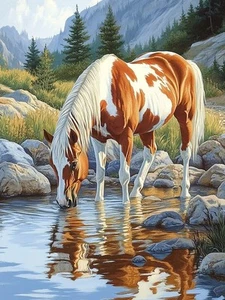 5D Diamond Art Kits for Adults Riverside Horse, Full Drill DIY Rhinestone - Picture 1 of 6