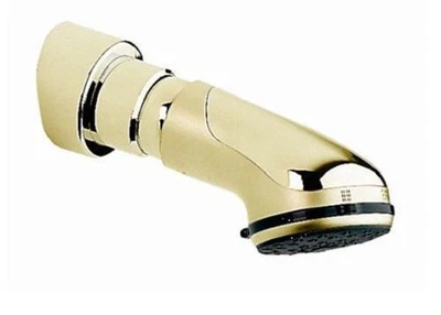 Grohe 28197R00 Relexa Top 4 Duschkopf mit integriertem Arm, Messing poliert - Bild 1 von 4