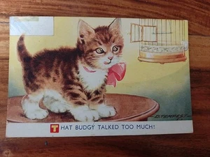 Vintage D Tempest Postcard - That Budgy Talked Too Much! - Picture 1 of 4