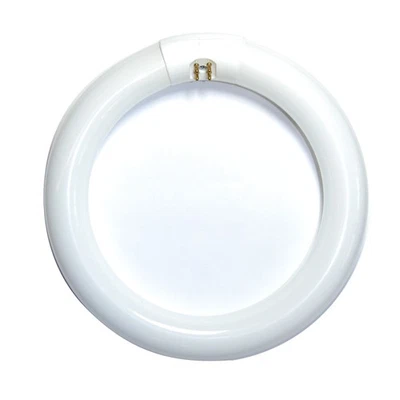 Satco S6500 FC8T9 22w T9 8 inch 3000K Soft White G10Q Circline Fluorescent Bulb - Image 1 of 3