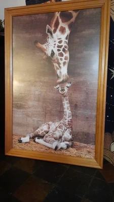 Wooden framed in glass giraffe Picture Mama Kissing baby - Image 1 of 4