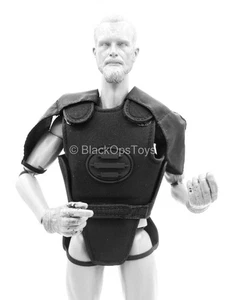 1/6 scale toy Anti-Riot Police - Black Light Armor Set - Picture 1 of 9