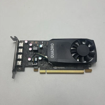 Nvidia Quadro P600 2GB GDDR5 Graphics Card 4x mini DP - LOW PROFILE - Image 1 of 4