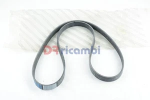 CINGHIA DI TRASMISSIONE POLY-V 5 GOLE FIAT SCUDO (1995-2004) - FIAT 9647463180 - Picture 1 of 3