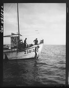8" x 10" Foto 1944 Photo Tarpon Springs, Florida - Bild 1 von 1