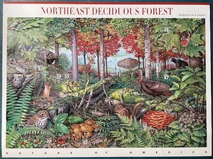 USA 2005 37c # 37c Northeast Deciduous Forest Sheet Sc-3899 MNH a #BL US-Seller - Picture 1 of 2