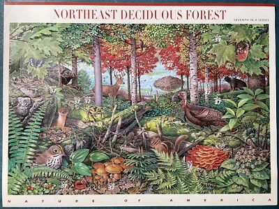 USA 2005 37c # 37c Northeast Deciduous Forest Sheet Sc-3899 MNH a #BL US-Seller - Image 1 of 2