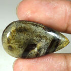 100% Natural Fossil Colus Agate Pear Cab Loose Gemstones 29.40Cts 19x 34x 06mm