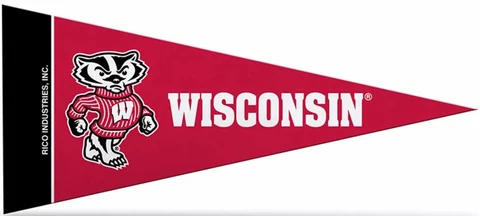 Wisconsin Badgers Tigers Mini Pennants, 4" x 9" - Licensed by Rico - Made In USA Cover