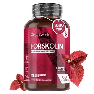 Coleus Forskohlii - 180 Forskolin Kapseln - Abnehmen & Gewichtsmanagement - Haut - Bild 1 von 9