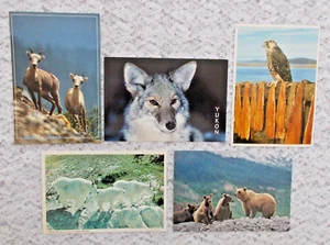 Lote de 5, Animales del Yukón Canadiense, Postales Sin Usar. - Imagen 1 de 2