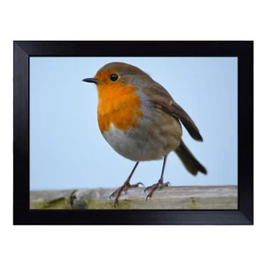 Robin Bird No.2 Lap Tray Cushioned Bean Bag Padded TV Dinner Food Breakfast Desk - Picture 1 of 4