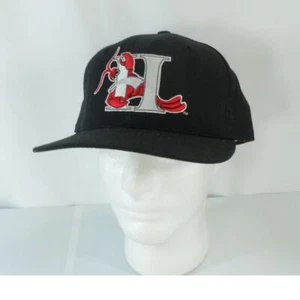 Vintage New Era Hickory Crawdads MiLB Pro Model Snapback Cap Hat Black USA - Picture 1 of 9