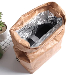 Brown Paper Lunch Bag Reusable Insulated Thermal Cooler Sack Magnetic Closur~_e - Picture 1 of 9