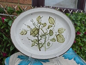 Vintage Midwinter Stonehenge Greenleaves Large Oval Serving Platter  10¾x13½" - Picture 1 of 7