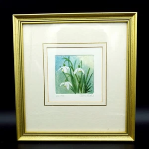 Judy Ball Signed hand-coloured etching print Lim.edit 131/175 framed 22.5x23.5cm - Picture 1 of 9