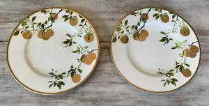 2 Waterford GOLDEN APPLE Accent Salad Plates 9" - Picture 1 of 8