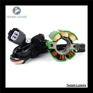 Stator Allumage pour Kawasaki KX 250 F de 2004 2005 2006 2007 2008 2009 2010 - Photo 1/8