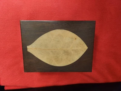 ZINO Humidor Zigarrenschrank für Zigarren GM Feuille de tabac Wie Neu + 6 Zigarr - Bild 1 von 4