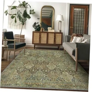 Area Rug Aesthetic Rugs for Living Room, Non Shedding Non Slip 3X5 Sage Green - Picture 1 of 8