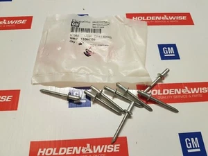 NOS Genuine Holden Window Regulator Pop Rivets Suit Astra 04-09 x2 - Picture 1 of 3