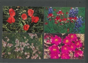 FL-54 4 Floral Post Cards - Picture 1 of 1