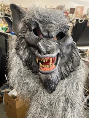 Hombre Lobo Hombre Lobo Máscara de Halloween Miedo Adulto Cabeza Completa Gris Lobo Peludo Con Colmillos Foto 1 de 4