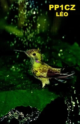 Postal Radio Isla Vitoria Brasilia Brasil PP1CZ QSL Foto 1 de 2