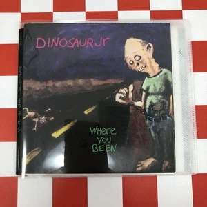 Dinosaur Jr./Wear You Bean Japan Edition Musician Band Artist Booklet Live K - Picture 1 of 4