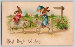 Ostern gekleidete Hasen reiten Lämmer anthropomorphe Fantasie BW 289 POSTKARTE 1907 - Bild 1 von 2