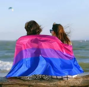 3x5 Ft Bisexual Pride Polyester Flag Bi Banner LGBTQIA rainbow 2 Metal Grommets - Picture 1 of 7
