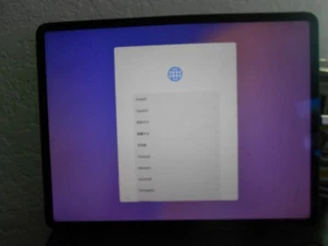 Apple iPad Pro 12.9 4th Gen 256GB Space Gray Unlocked - Cracked Screen - Afbeelding 1 van 14