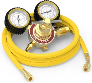 Nitrogen Regulator with Hose, 0-600 PSI and 0-4000PSI Output Pressure, CGA580 In - Picture 1 of 12