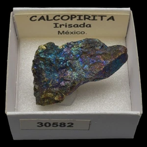 CALCOPIRITA Irisada (Mexico) #30582 / Chalcopyrite - Picture 1 of 1