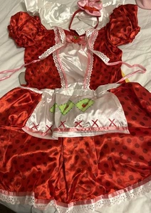 Strawberry Shortcake Costume Adult 10-12 - Picture 1 of 10